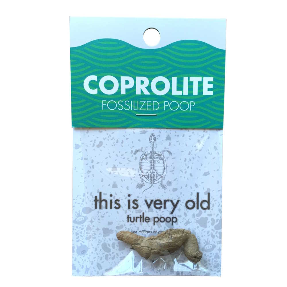 Coprolite Fossil
